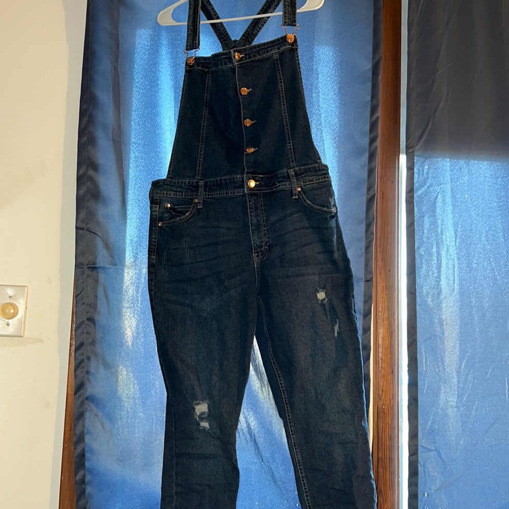 Celebrity Pink overalls